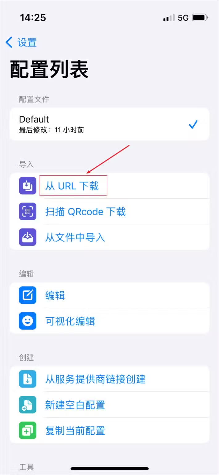 Stash 配置列表页,导入分组里的从 URL 下载一项被红框标出